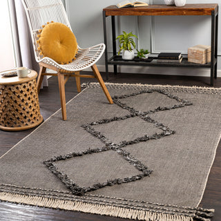 Surya Palo Alto PLA-2301 Area Rug Room Scene Feature