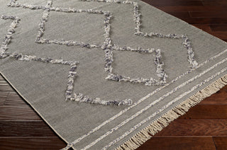 Surya Palo Alto PLA-2303 Area Rug Corner Shot