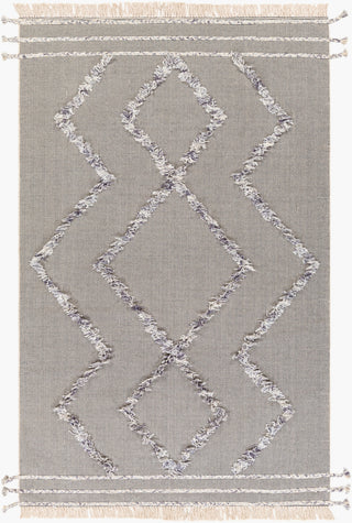 Surya Palo Alto PLA-2303 Area Rug main image