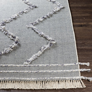 Surya Palo Alto PLA-2303 Area Rug Angle