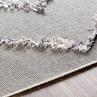 Surya Palo Alto PLA-2303 Area Rug Detail