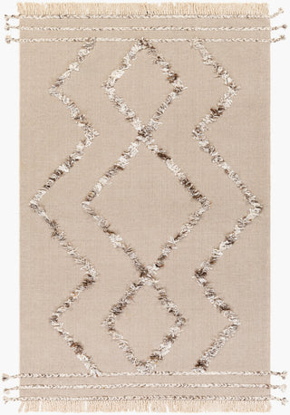 Surya Palo Alto PLA-2304 Area Rug main image