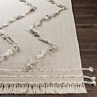 Surya Palo Alto PLA-2304 Area Rug Angle
