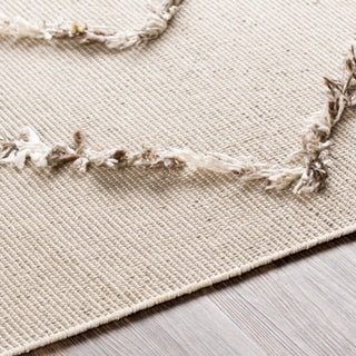 Surya Palo Alto PLA-2304 Area Rug Detail