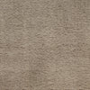 Nourison Plush Cloud PLC01 Taupe Area Rug by Home Texture Image