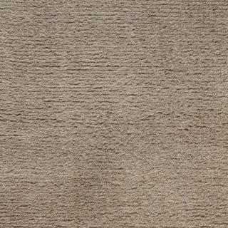 Nourison Plush Cloud PLC01 Taupe Area Rug by Home Texture Image