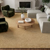Nourison Plush Cloud PLC01 Camel Area Rug by Home Room Image Feature