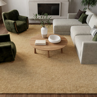 Nourison Plush Cloud PLC01 Camel Area Rug by Home Room Image Feature