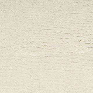 Nourison Plush Cloud PLC01 Ivory Area Rug by Home Room Image Feature