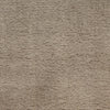 Nourison Plush Cloud PLC01 Taupe Area Rug by Home Room Image Feature
