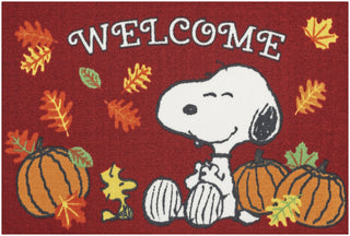 Nourison Pnt02 /Enhcx PLN95 Burgundy Area Rug by Peanuts main image