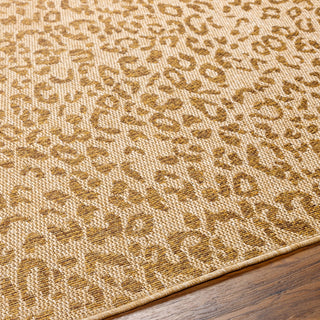 Livabliss Pismo Beach PMB-2300 Area Rug Detail