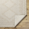 Livabliss Pismo Beach PMB-2311 White Area Rug Pile