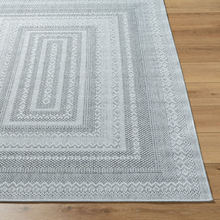 Livabliss Pismo Beach PMB-2316 Medium Gray Area Rug Angle