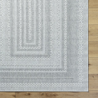 Livabliss Pismo Beach PMB-2316 Medium Gray Area Rug 