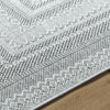 Livabliss Pismo Beach PMB-2316 Medium Gray Area Rug Detail