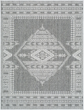 Livabliss Pismo Beach PMB-2317 Medium Gray Area Rug main image
