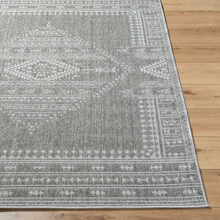 Livabliss Pismo Beach PMB-2317 Medium Gray Area Rug Angle