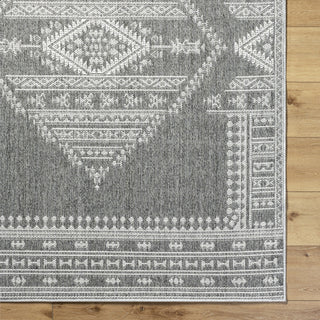 Livabliss Pismo Beach PMB-2317 Medium Gray Area Rug 