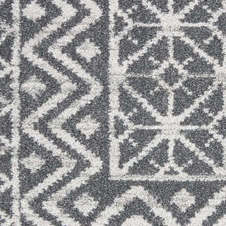Nourison Palermo PMR02 Charcoal Silver Area Rug Swatch Image