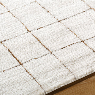 Livabliss Cascade PNWCS-2300 Ivory Area Rug by PNW Home Detail