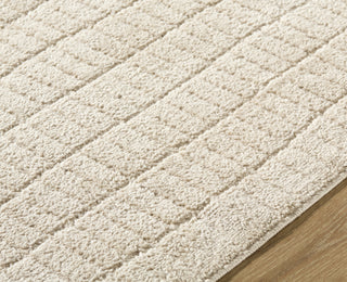 Our Pnw Home X Livabliss Cascade PNWCS-2306 Area Rug Detail