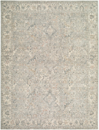 Livabliss Poetry POI-2309 Slate Area Rug main image