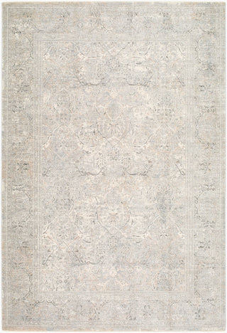Livabliss Poetry POI-2315 Pewter Area Rug main image
