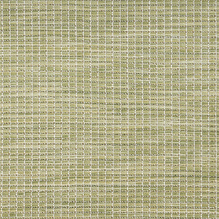 Nourison Positano POS01 Green Area Rug Corner Image