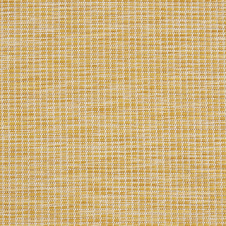 Nourison Positano POS01 Yellow Area Rug 