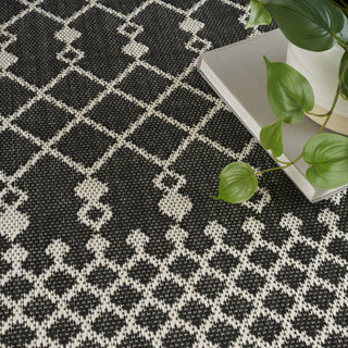Nourison Positano POS02 Black Area Rug Texture Image