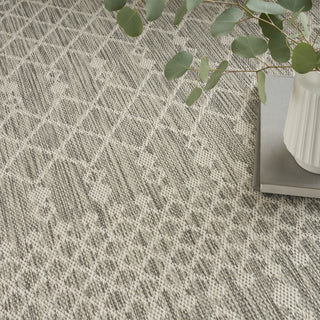 Nourison Positano POS02 Light Grey Area Rug Texture Image