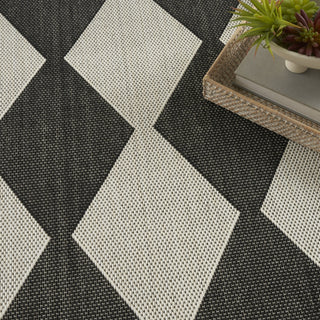 Nourison Positano POS04 Black Area Rug Texture Image