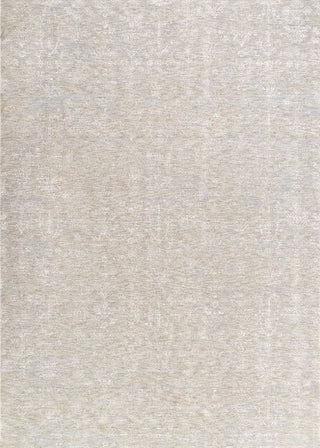 Livabliss Poet POT-2300 Area Rug by Surya main image