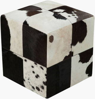 Surya Appalachian POUF-56 Black Furniture Pouf main image
