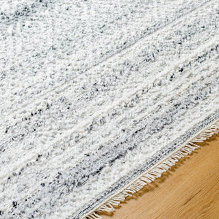 Surya Pompei PPI-2302 Area Rug Detail