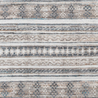 Surya Pompei PPI-2307 Area Rug Swatch
