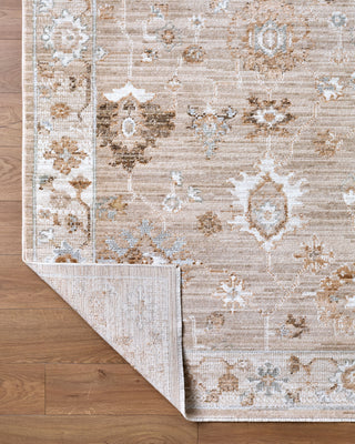 Livabliss Pierre Loti PPL-2300 Area Rug Pile