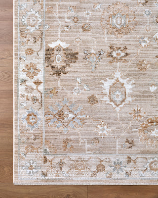 Livabliss Pierre Loti PPL-2300 Area Rug Overhead Image
