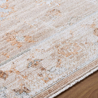 Livabliss Pierre Loti PPL-2300 Area Rug Detail