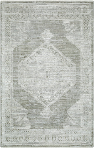 Livabliss Pierre Loti PPL-2301 Area Rug Main
