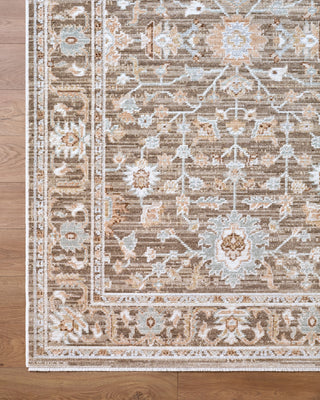 Livabliss Pierre Loti PPL-2304 Area Rug Overhead Image