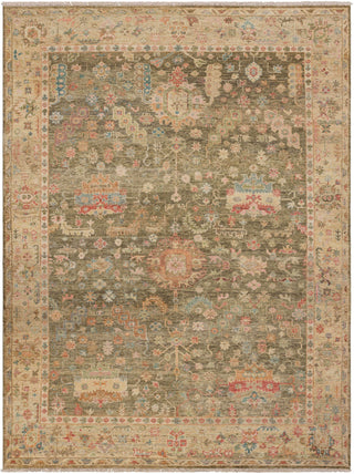 Karastan Sundar Prasann Charcoal Area Rug main image