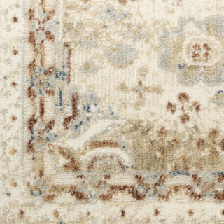 Nourison Pardis PRD01 Ivory Rust Area Rug Swatch Image