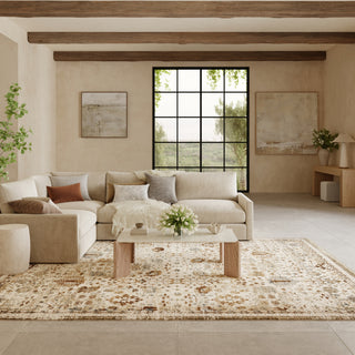 Nourison Pardis PRD01 Ivory Rust Area Rug Corner Image