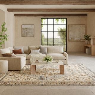Nourison Pardis PRD02 Blue Taupe Area Rug Corner Image