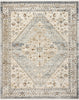 Nourison Pardis PRD02 Blue Taupe Area Rug Main Image