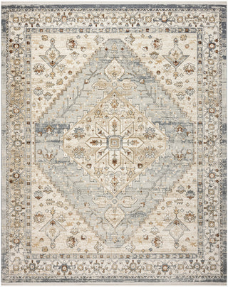 Nourison Pardis PRD02 Blue Taupe Area Rug Main Image