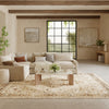 Nourison Pardis PRD02 Ivory Taupe Area Rug Corner Image