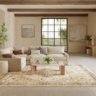 Nourison Pardis PRD02 Ivory Taupe Area Rug Corner Image